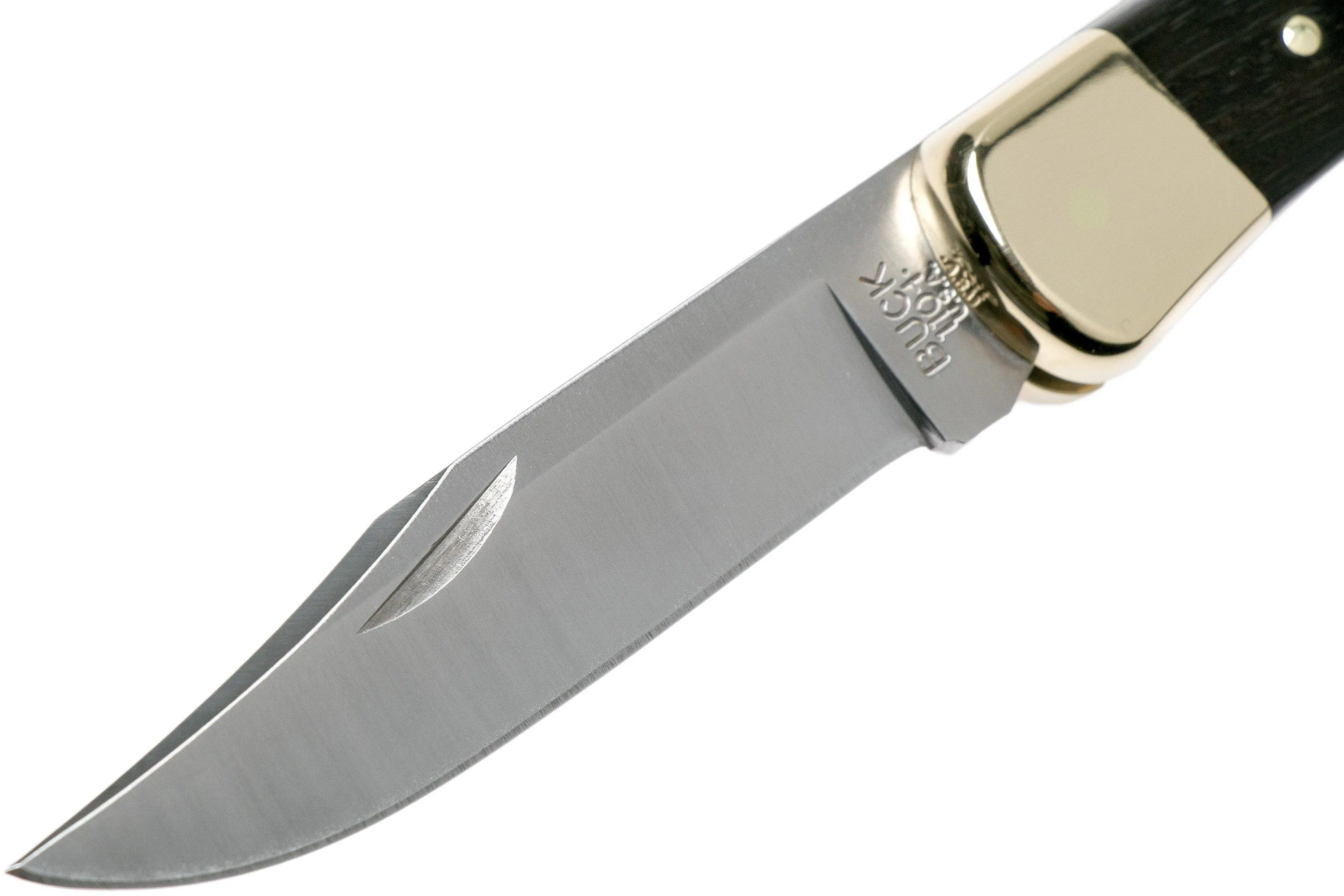 Buck 110 Folding Hunter Ebony navaja