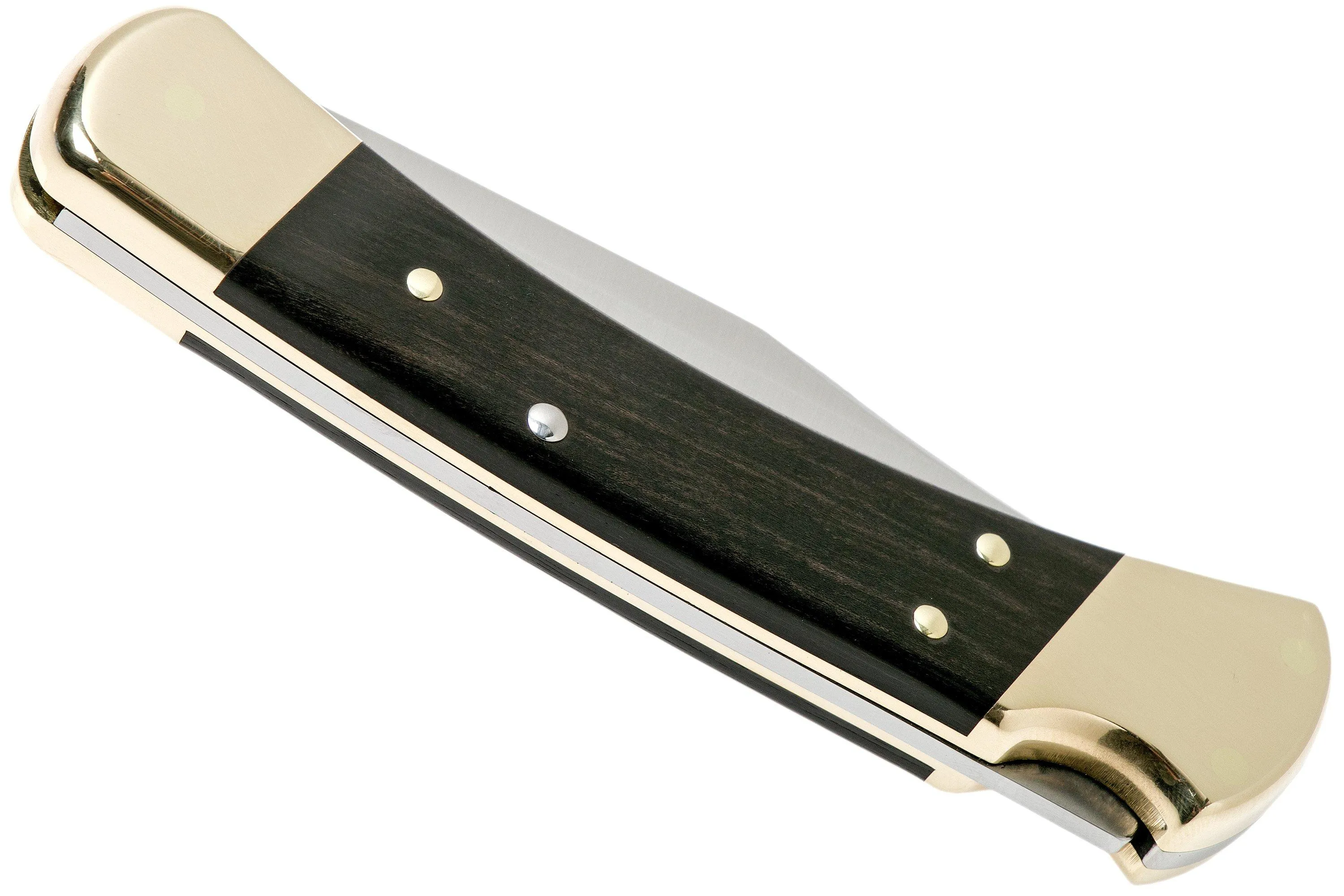 Buck 110 Folding Hunter Ebony navaja