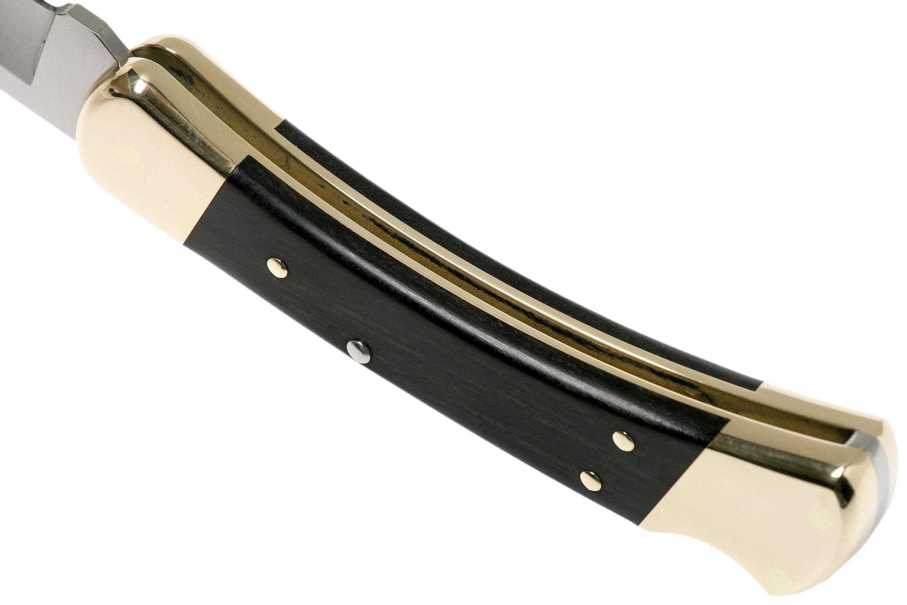 Buck 110 Folding Hunter Ebony navaja