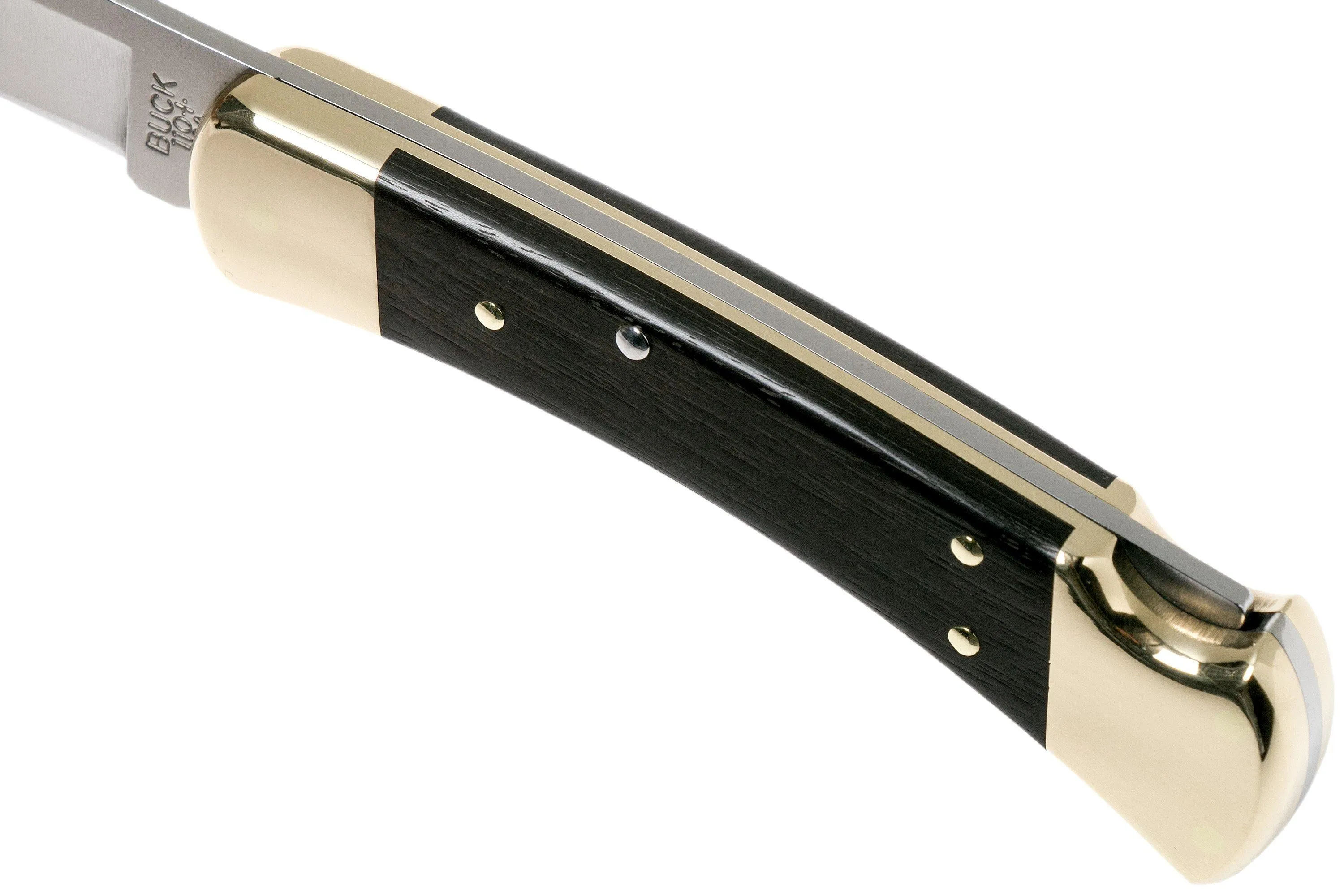 Buck 110 Folding Hunter Ebony navaja