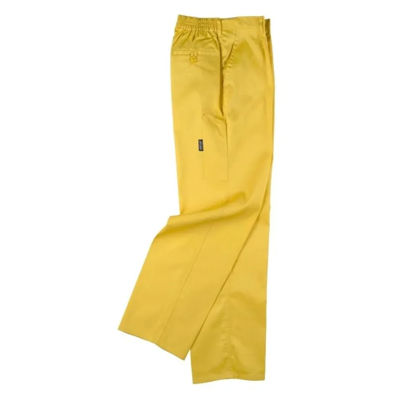 PANTALON WORKTEAM B1402