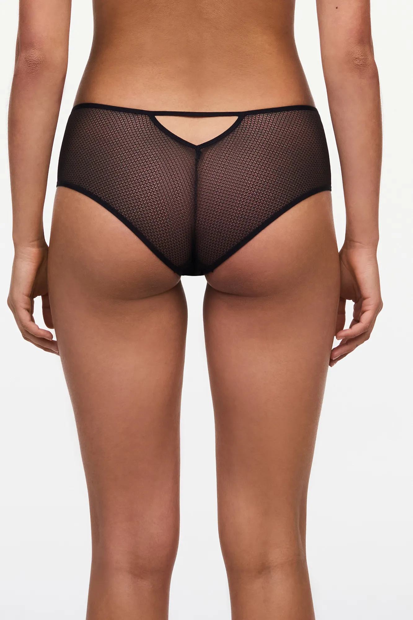 Passionata Culotte Olivia en encaje y tul bordado