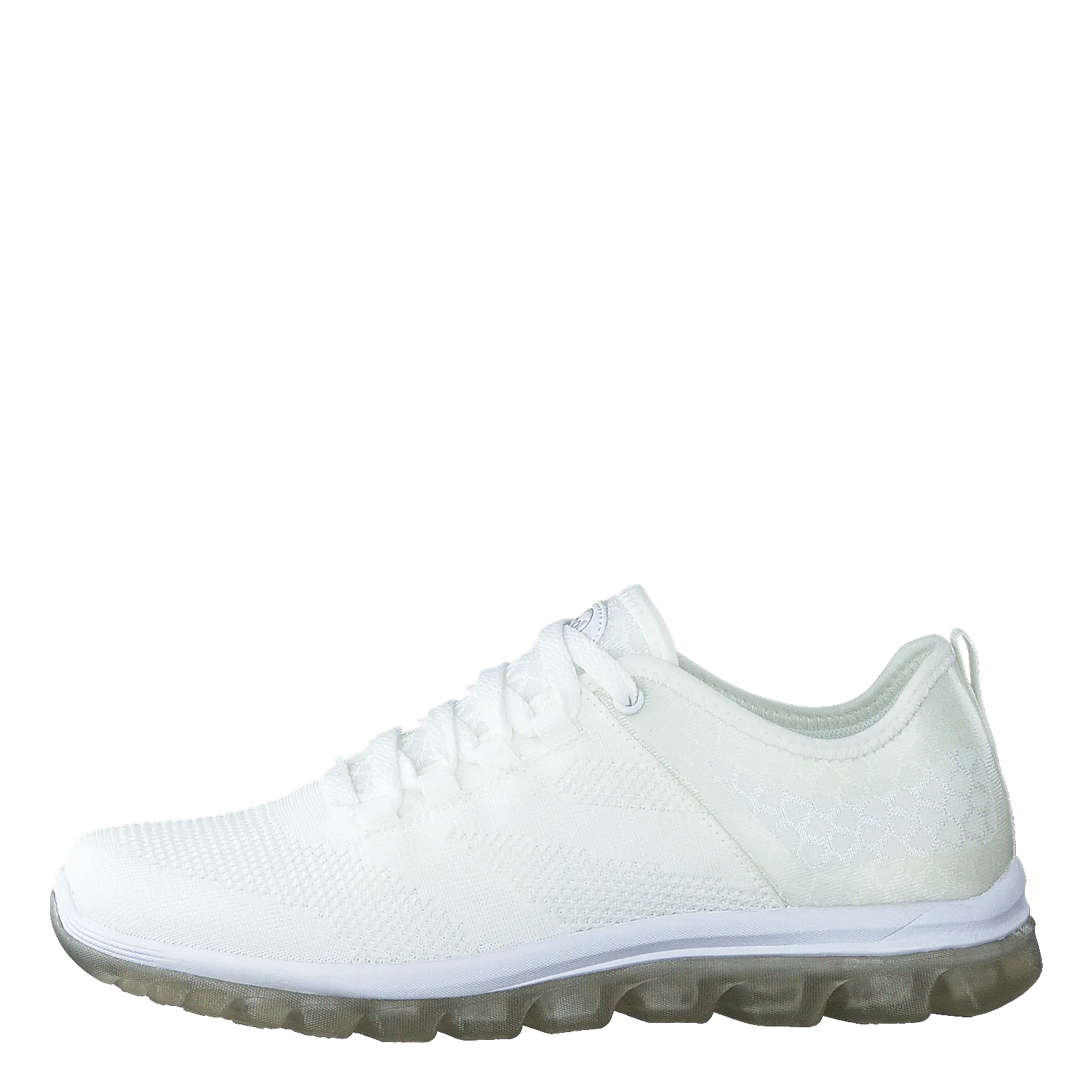 Scholl Darwin White
