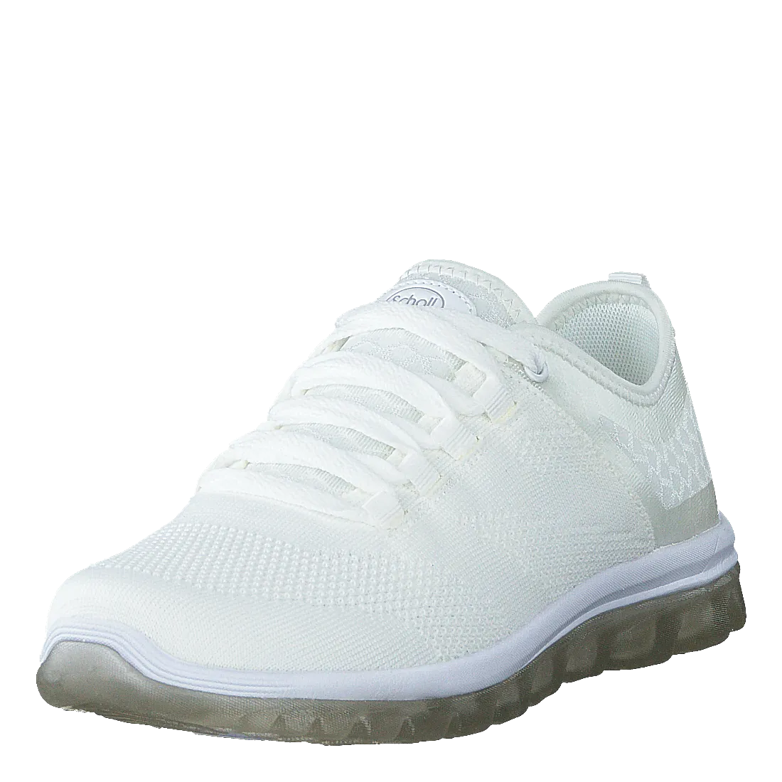 Scholl Darwin White