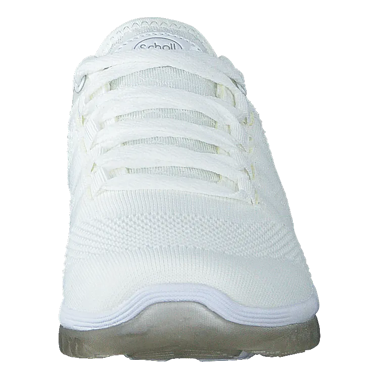 Scholl Darwin White