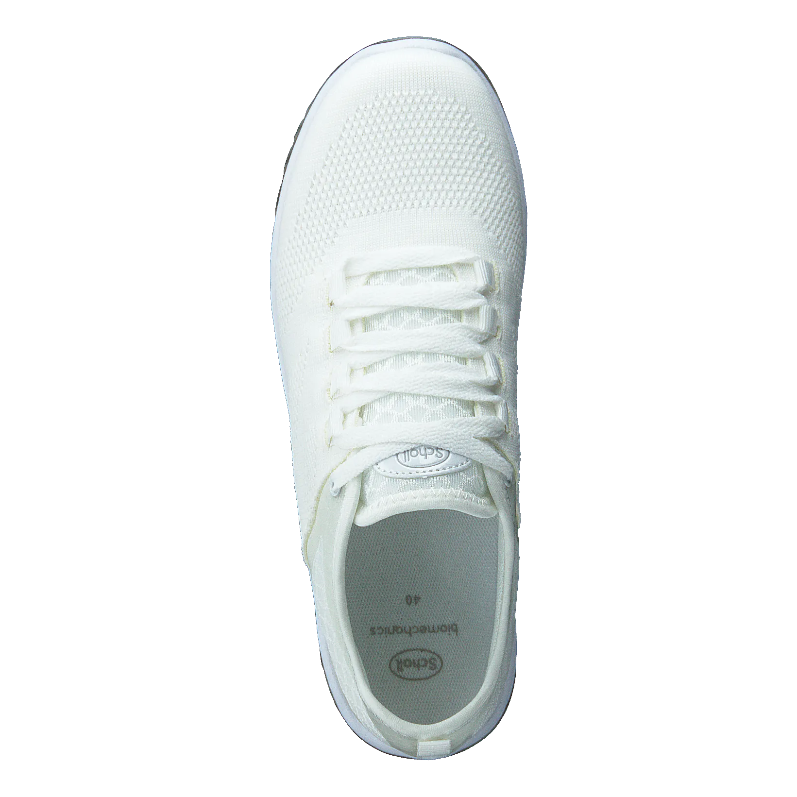 Scholl Darwin White