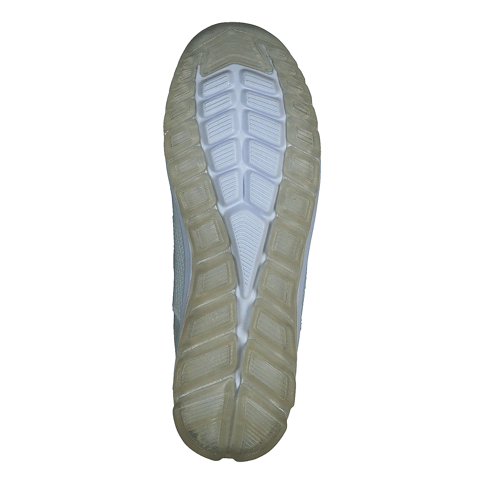 Scholl Darwin White