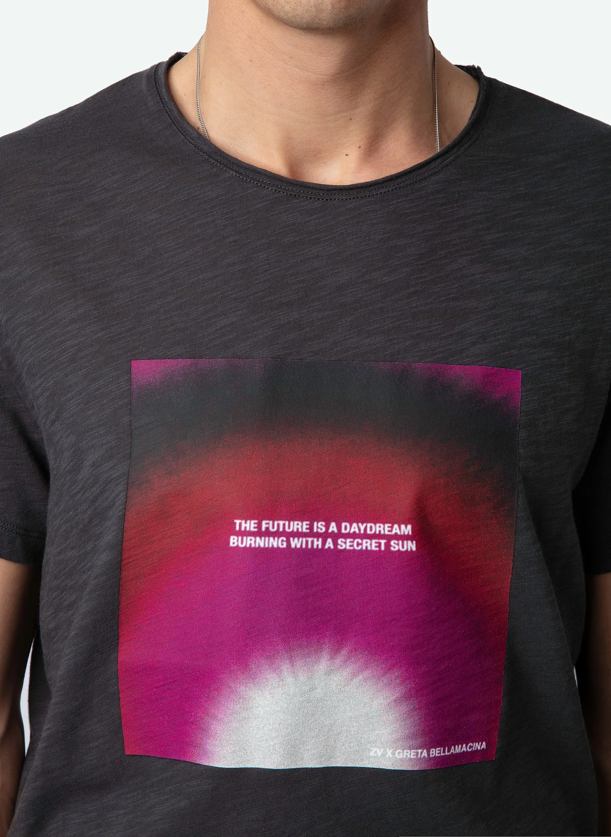 ZADIG&VOLTAIRE TOBY  CAMISETA ESTAMPADA DE ALGODóN ORGáNICO EN GRIS